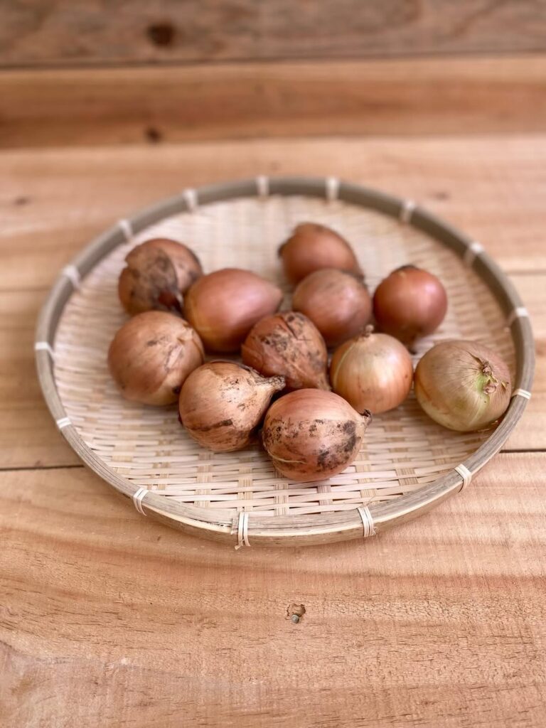 広島の農家さんの規格外野菜をお届け！　玉ねぎ