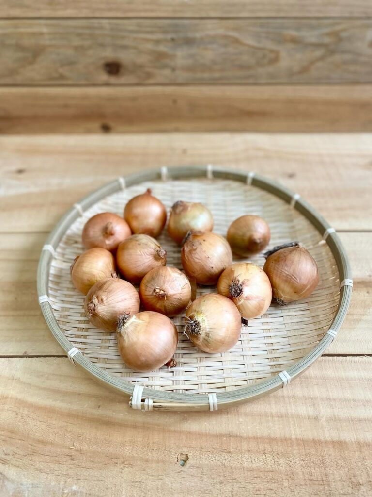 広島の農家さんの規格外野菜をお届け！　たまねぎ