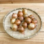 広島の農家さんの規格外野菜をお届け！2/05