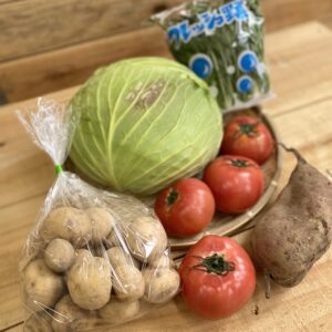 広島の農家さんの規格外野菜をお届け！2/12