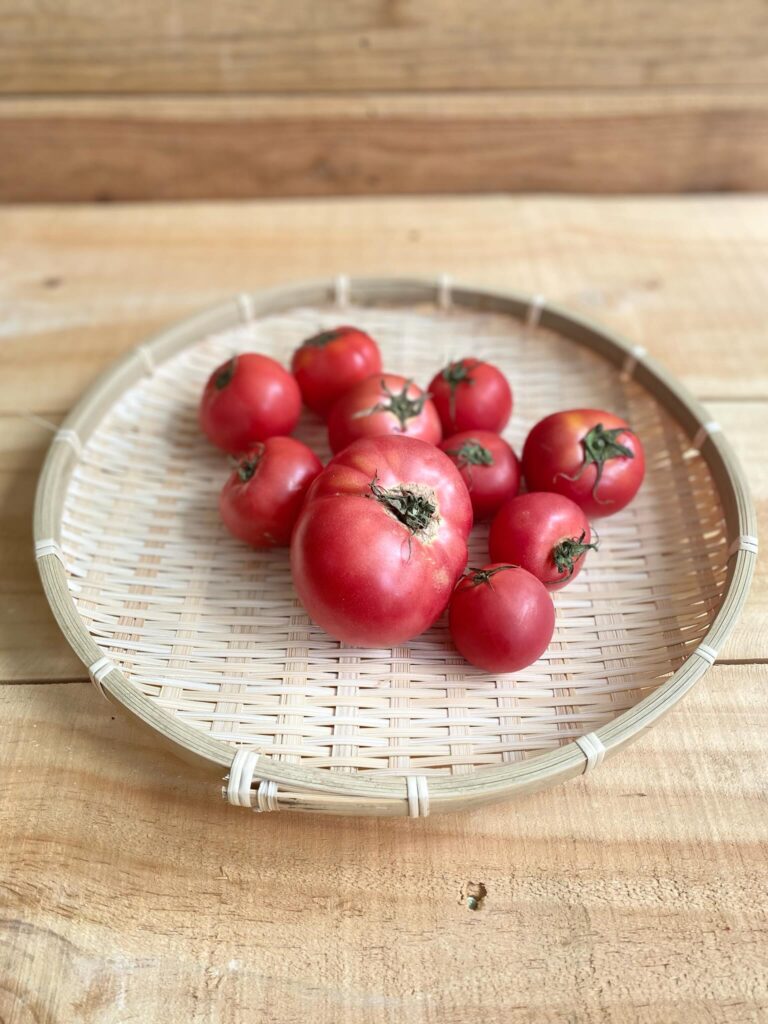 規格外野菜のトマト