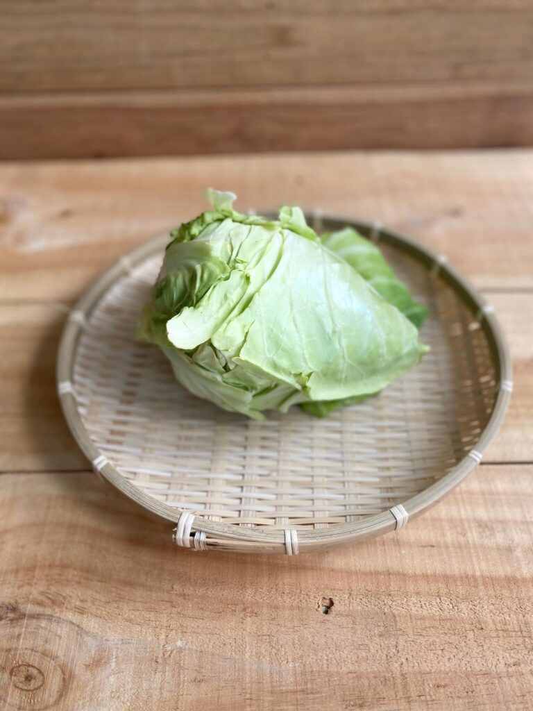 規格外野菜のキャベツ